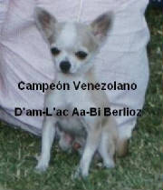 berlioz.jpg