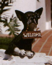 welcome-dog.jpg
