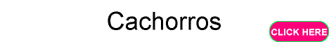 banner-fotos.gif