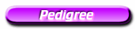 >>Click<<