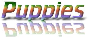 puppies.jpg